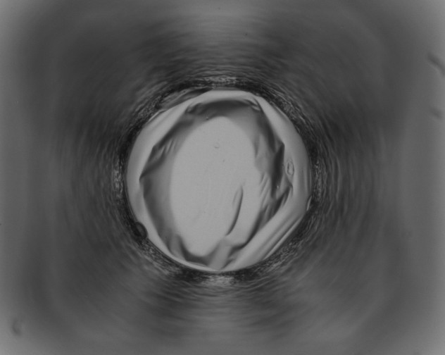 X0000091920609200710031041