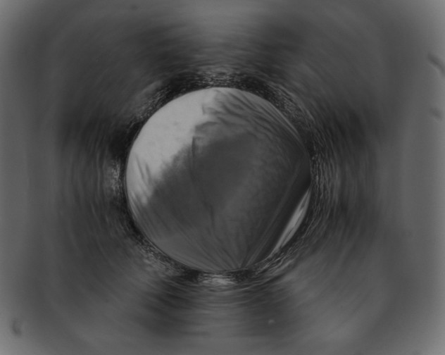 X0000091920610200710031041