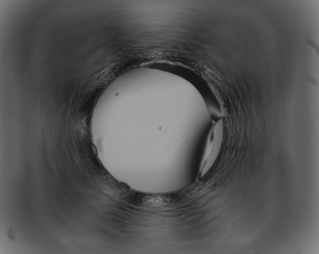 X0000091920611200710031041
