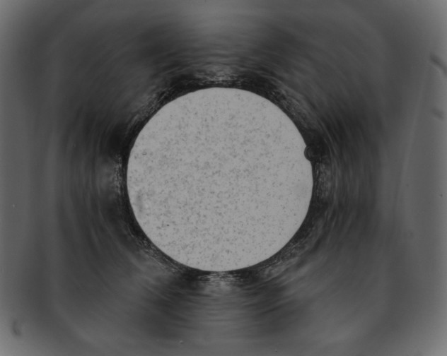 X0000091920612200710031041