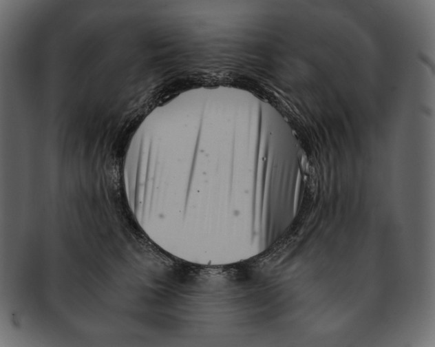 X0000091920613200710031041