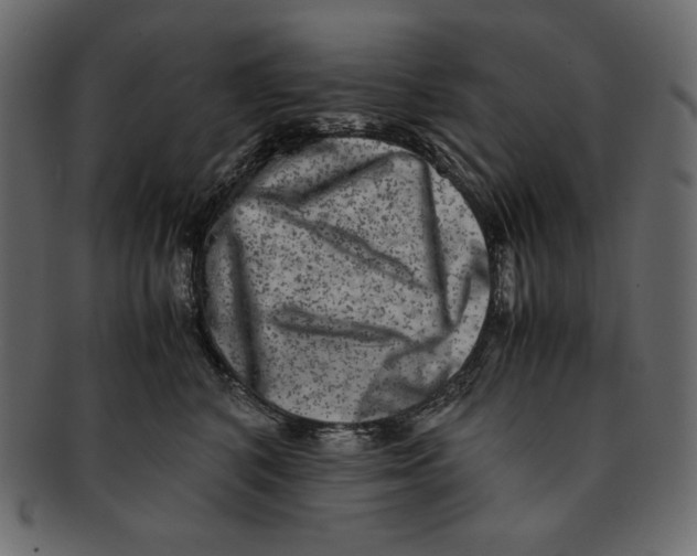 X0000091920616200710031040