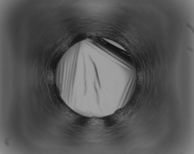 X0000091920617200710031040