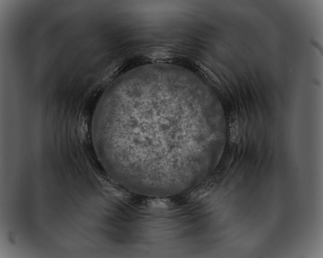 X0000091920618200710031040