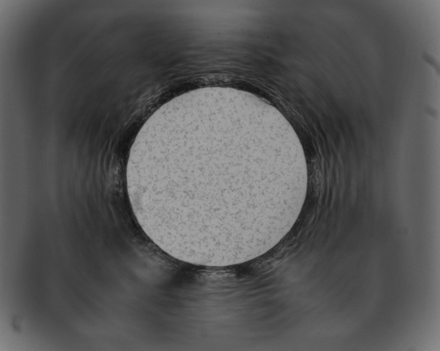 X0000091920619200710031040