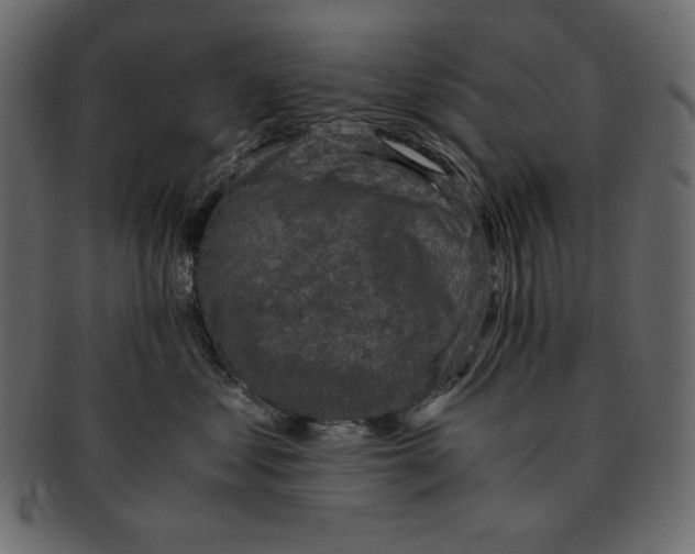 X0000091920621200710031040