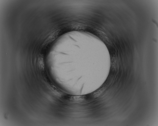 X0000091920622200710031040