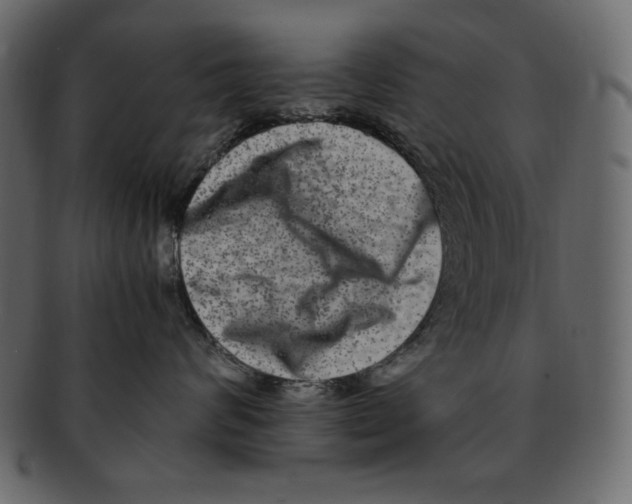 X0000091920624200710031040