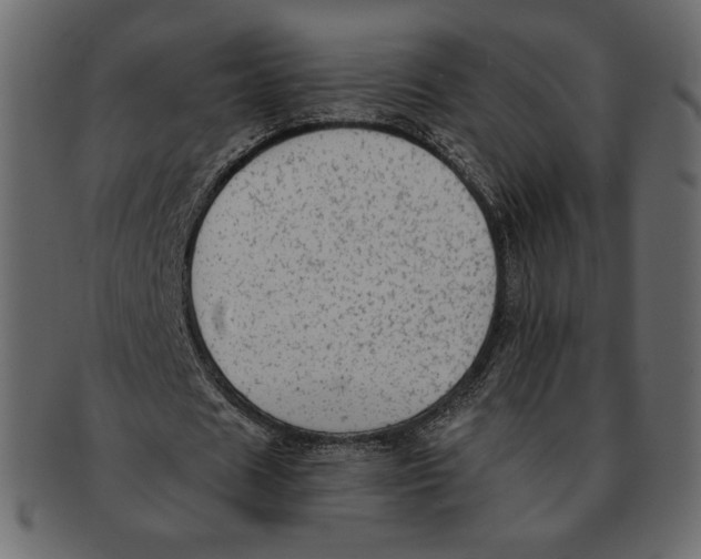 X0000091920625200710031040
