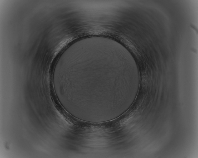 X0000091920626200710031040