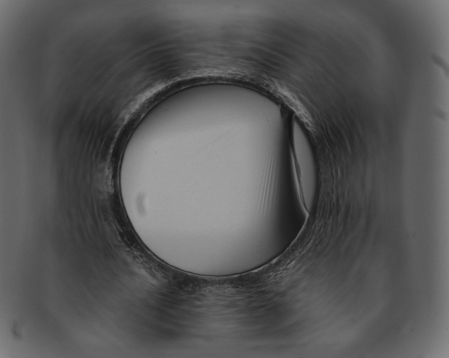 X0000091920628200710031040