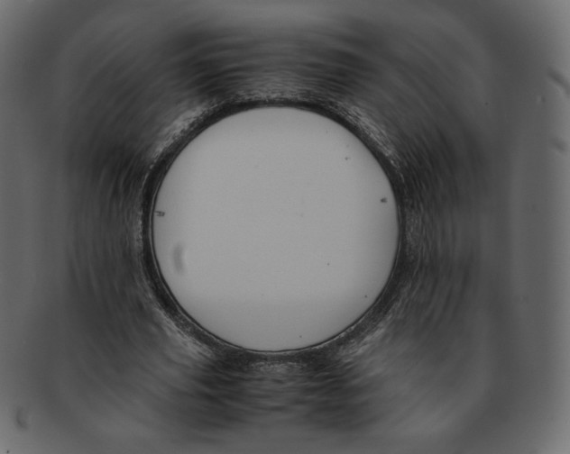 X0000091920629200710031040