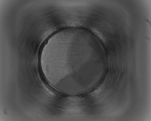 X0000091920630200710031040