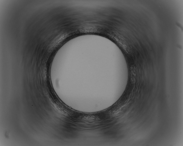 X0000091920631200710031040