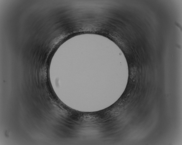 X0000091920632200710031040
