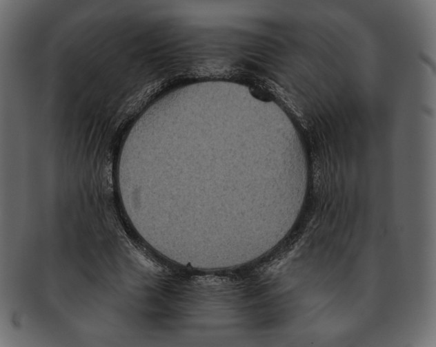 X0000091920633200710031040