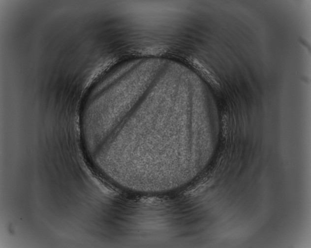 X0000091920634200710031040