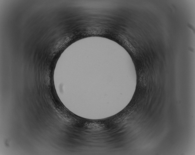 X0000091920635200710031040