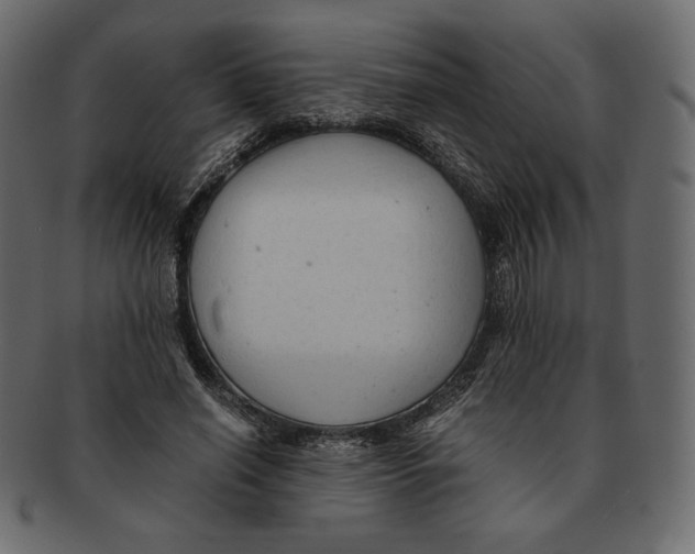 X0000091920638200710031040