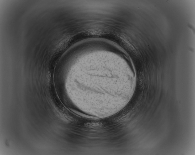 X0000091920639200710031040