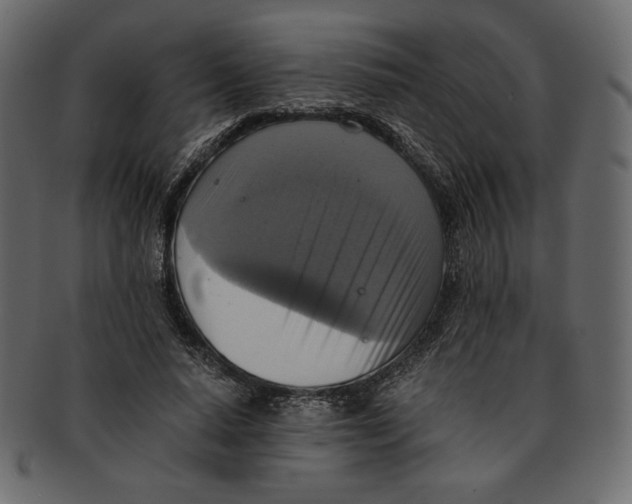 X0000091920640200710031040