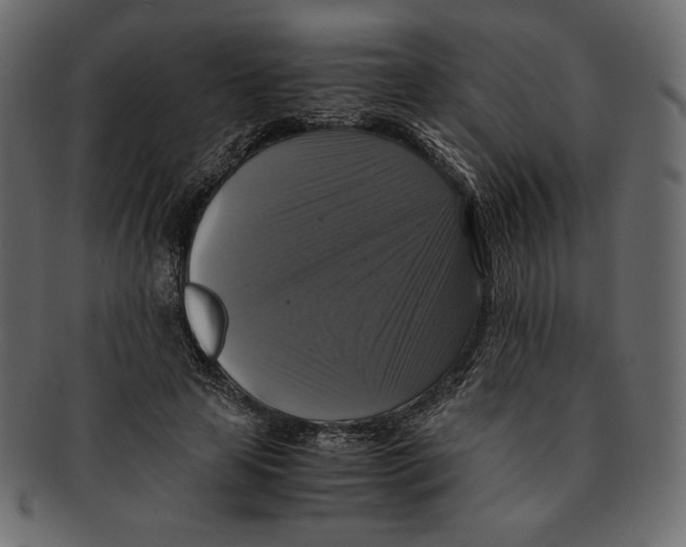 X0000091920641200710031040