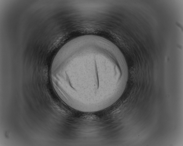 X0000091920642200710031040