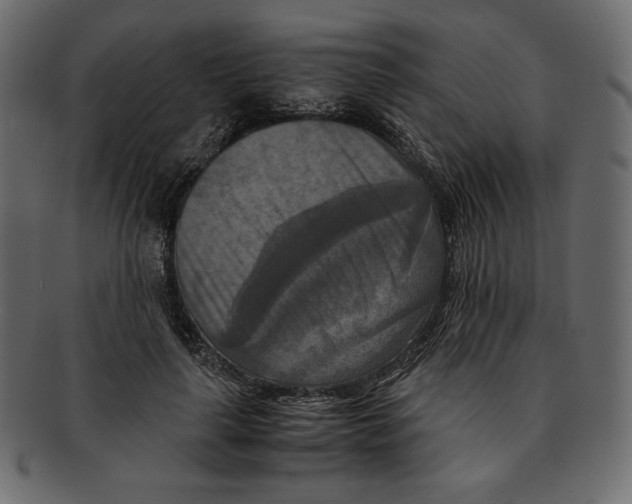 X0000091920643200710031040