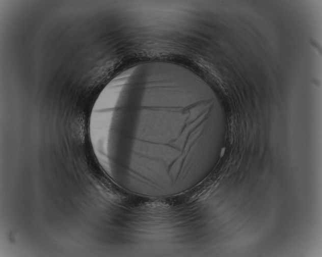 X0000091920644200710031040
