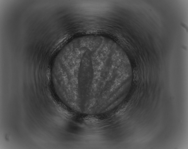 X0000091920648200710031040