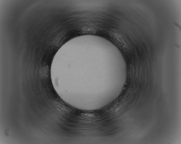 X0000091920649200710031040