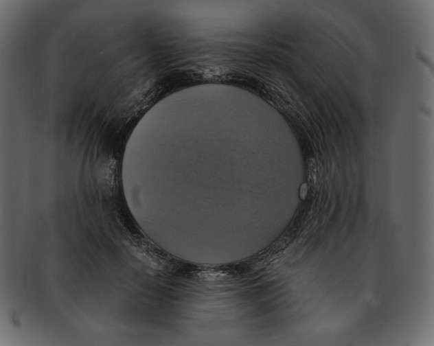 X0000091920650200710031040