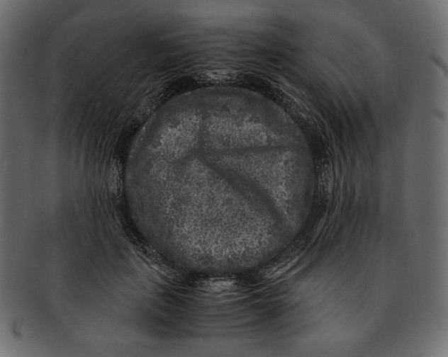 X0000091920651200710031040