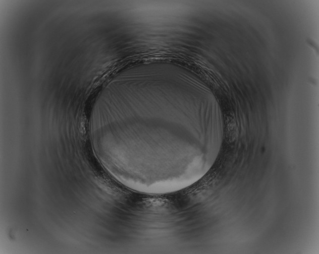 X0000091920654200710031040