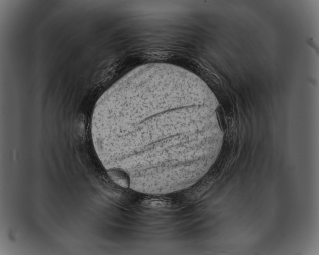 X0000091920655200710031040