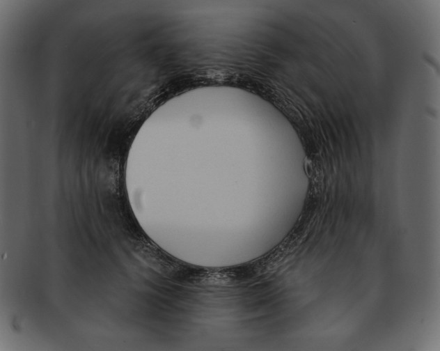 X0000091920656200710031040