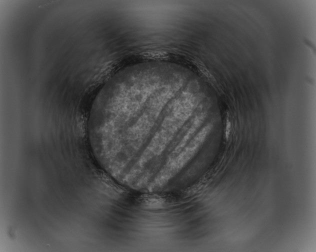 X0000091920658200710031040