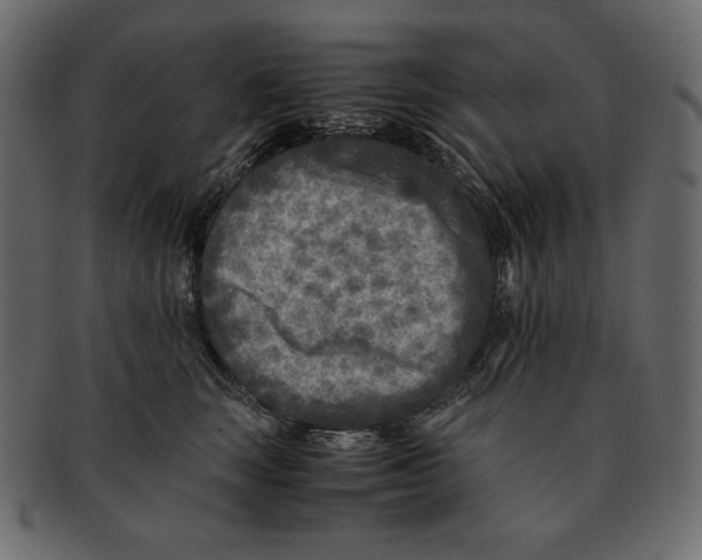 X0000091920663200710031040