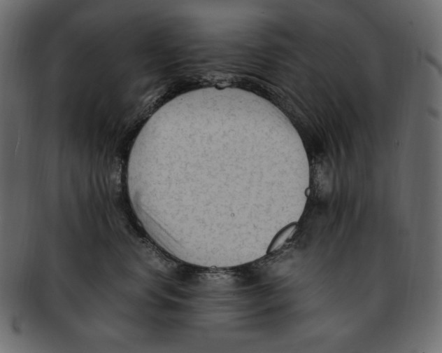 X0000091920668200710031040