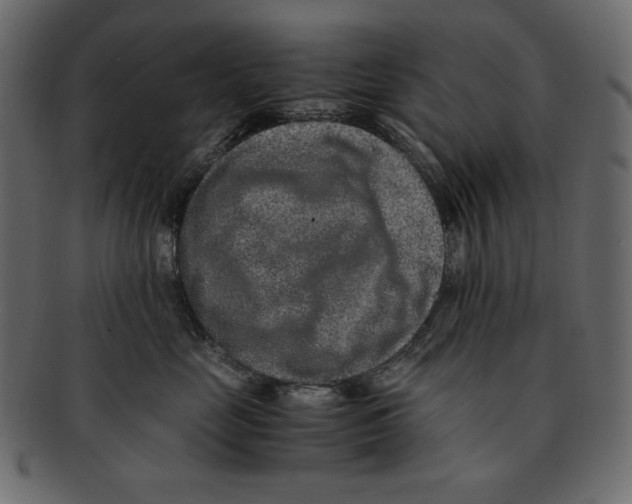 X0000091920669200710031040