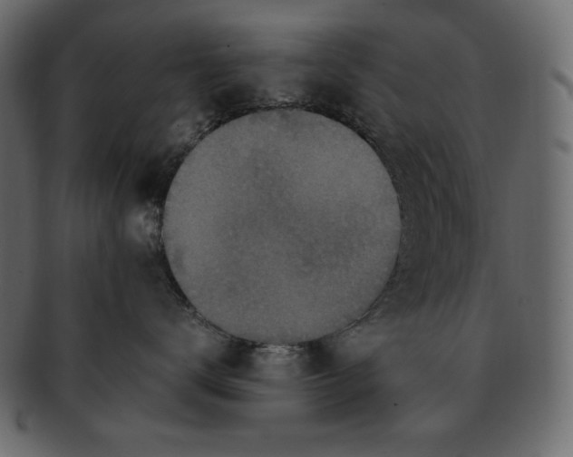 X0000091920672200710031040
