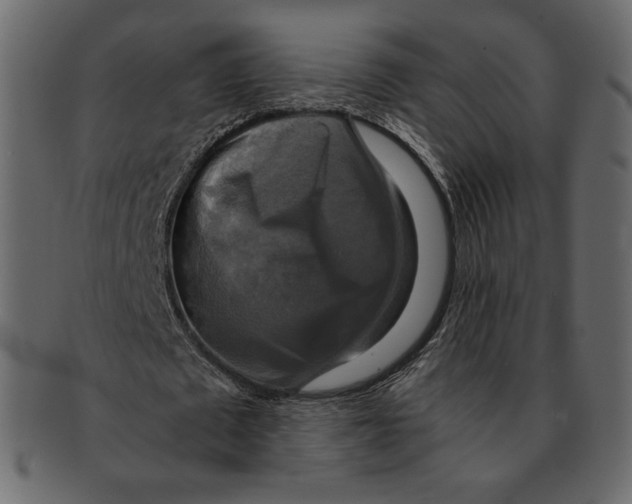 X0000091920673200710031040