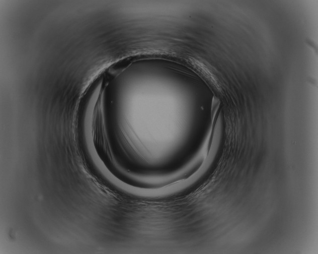 X0000091920676200710031040