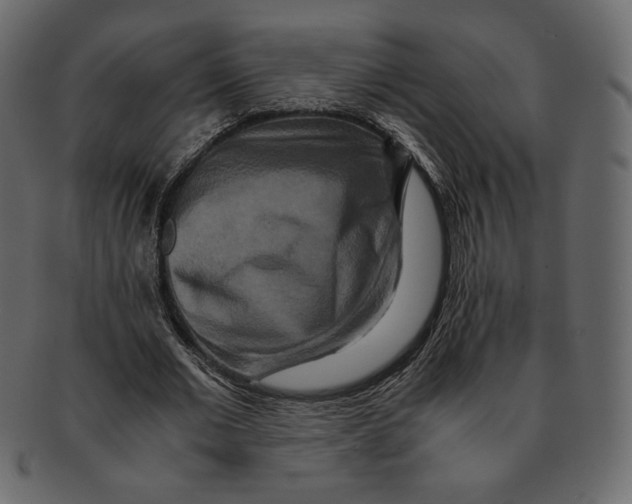X0000091920677200710031040