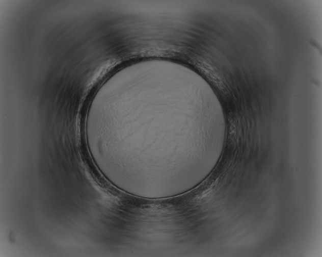 X0000091920678200710031040