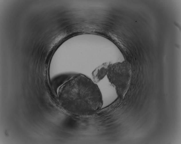 X0000091920679200710031040