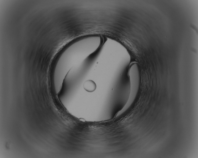 X0000091920680200710031040