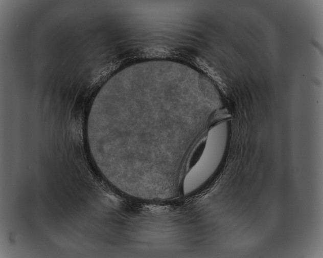 X0000091920681200710031040