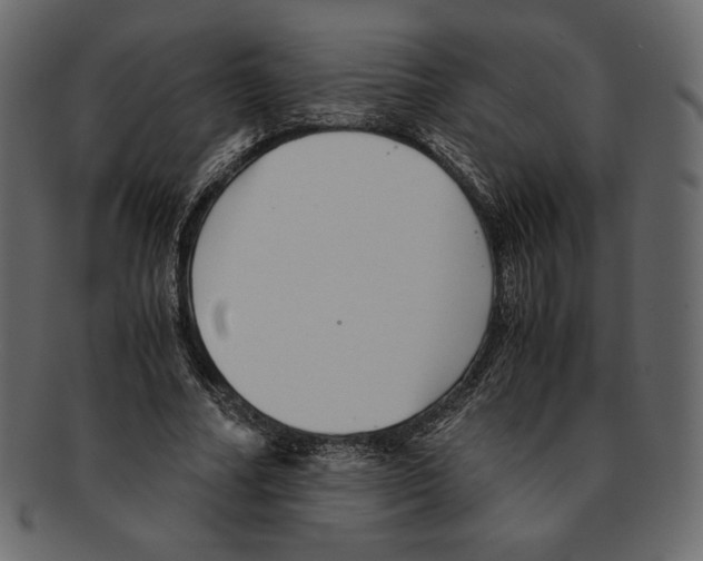 X0000091920682200710031040