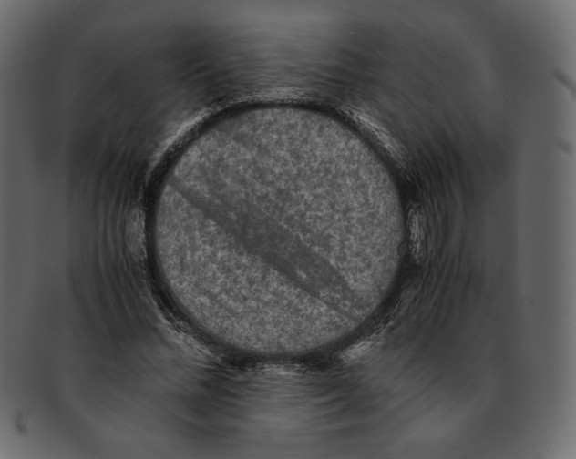 X0000091920684200710031040